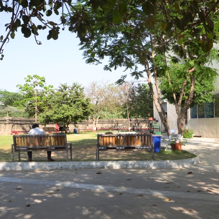 Lawn Area Outside for Boys